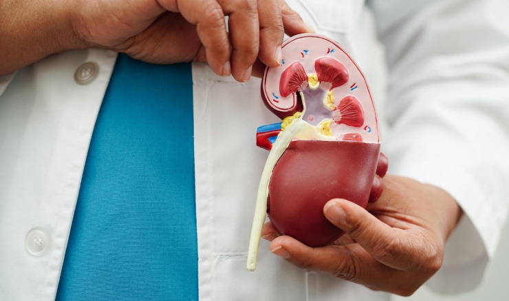 RECONSTRUCTIVE UROLOGY